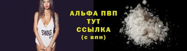 PSILOCYBIN Балабаново
