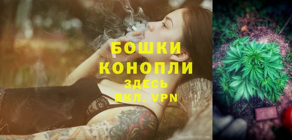 PSILOCYBIN Балабаново