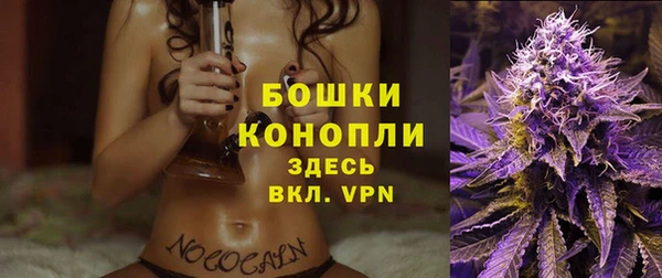 PSILOCYBIN Балабаново
